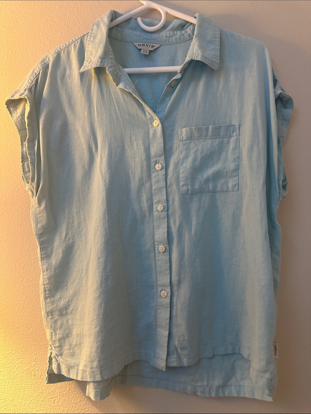 Orvis Women's Pale Blue Short-Sleeve Button-Down Shirt